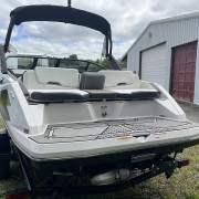 2017 Scarab 215 HO