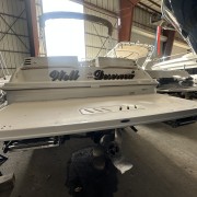 2003 Larson Cabrio 220